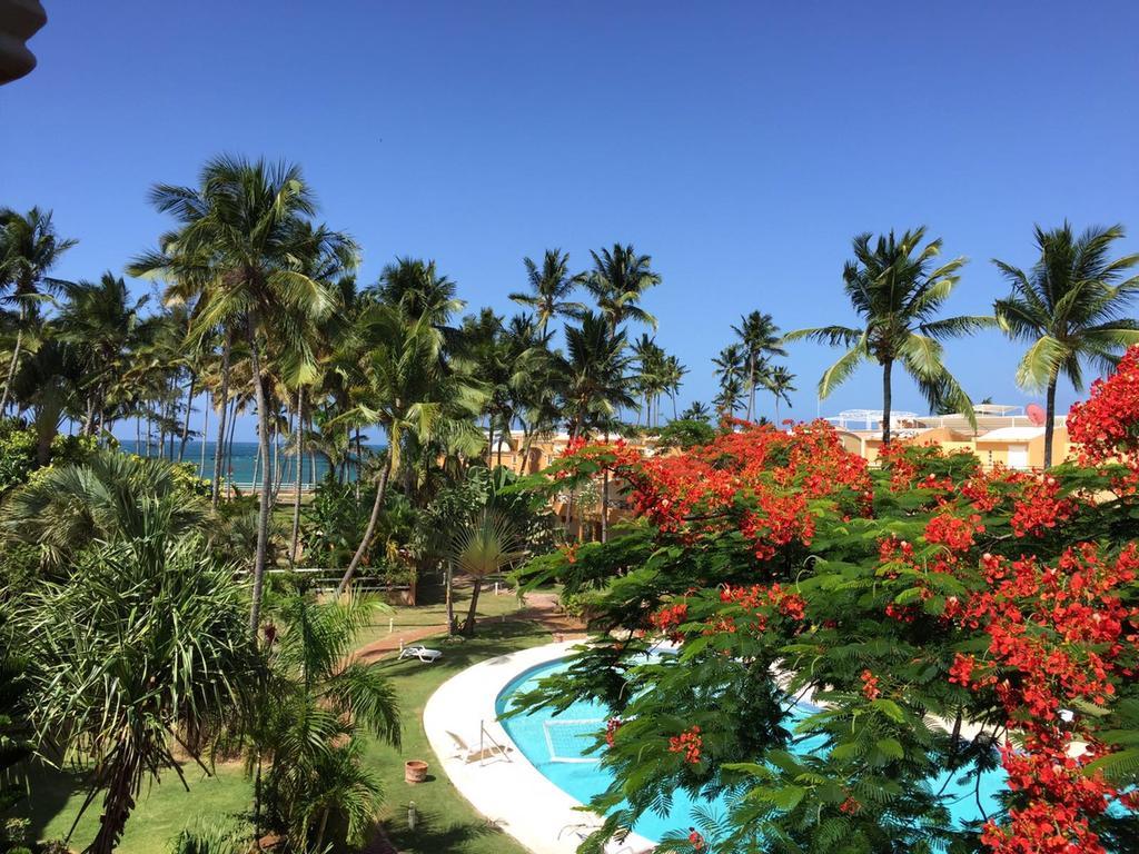 Don Cesar Aparthotel Las Terrenas Eksteriør bilde